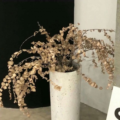 苏仙FurryQQ群介绍